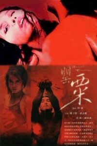 The Sichuan Concubines 1994 one on netflix