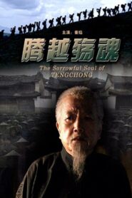 腾越殇魂 2009 one on netflix