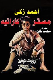 Mr. Karate 1993 one on netflix