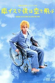 I Will Fly to the Sky on a Wheelchair 2012 one on netflix