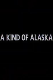 A Kind of Alaska 1984 one on netflix