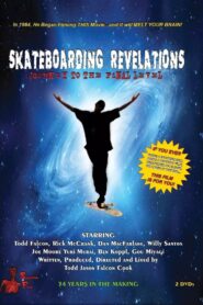 Skateboarding Revelations: Journey to the Final Level 2018 one on netflix