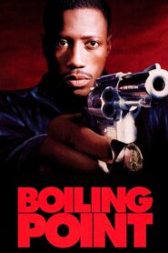 Boiling Point 1993 one on netflix