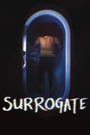 Surrogate 2022 one on netflix
