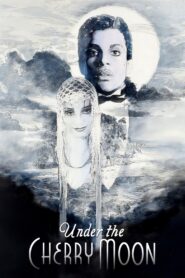 Under the Cherry Moon 1986 one on netflix
