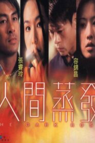 The Dark Rose 2000 one on netflix