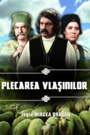 Vlashins’ Leaving 1982 one on netflix