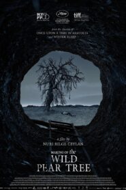 Making of The Wild Pear Tree 2018 one on netflix