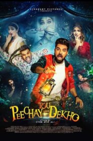 Peechay Tou Dekho 2022 one on netflix