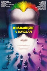 The Burglar 1987 one on netflix