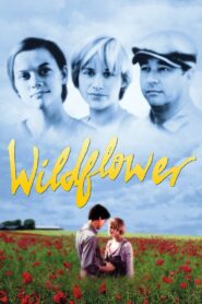 Wildflower 1991 one on netflix