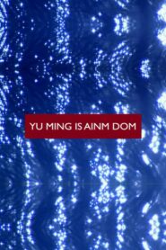 Yu Ming Is Ainm Dom 2003 one on netflix