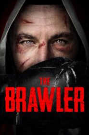 The Brawler 2019 one on netflix
