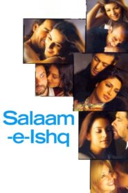 Salaam-e-Ishq 2007 one on netflix