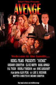 Avenge 2014 one on netflix