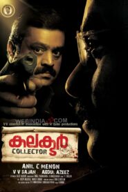Collector 2011 one on netflix