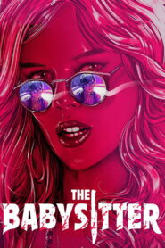 The Babysitter 2017 one on netflix