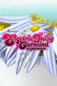 Electric Daisy Carnival Experience 2011 one on netflix