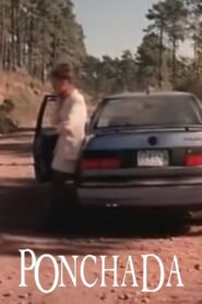 Flattened 1994 one on netflix