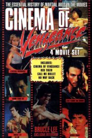 Cinema of Vengeance 1994 one on netflix