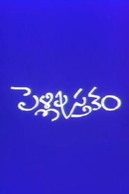 Pelli Pustakam 1991 one on netflix