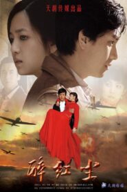 醉红尘 2010 one on netflix
