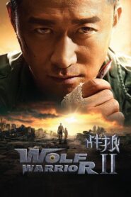 Wolf Warrior 2 2017 one on netflix