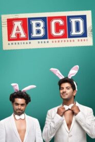 ABCD: American-Born Confused Desi 2013 one on netflix
