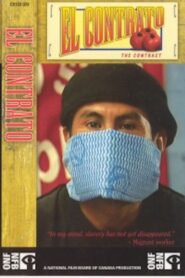 El Contrato 2003 one on netflix