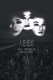Full Moon in New York 1989 one on netflix