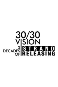 30/30 Vision: Three Decades of Strand Releasing 2019 one on netflix
