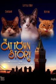 The Cat Town Story 2021 one on netflix