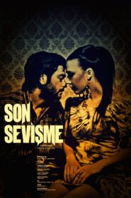 Son Sevişme 2012 one on netflix