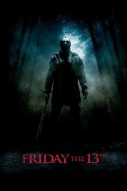 Friday the 13th 2009 one on netflix