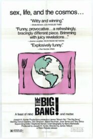 The Big Bang 1990 one on netflix