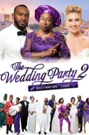 The Wedding Party 2: Destination Dubai 2017 one on netflix