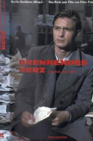 Burning Heart 1995 one on netflix
