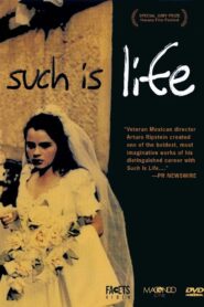 Such is Life 2000 one on netflix