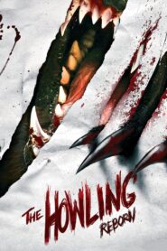 The Howling: Reborn 2011 one on netflix