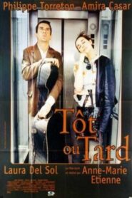 Sooner or Later 2000 one on netflix
