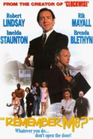 Remember Me? 1997 one on netflix