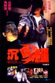 Framed 1989 one on netflix