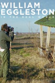 William Eggleston in the Real World 2005 one on netflix