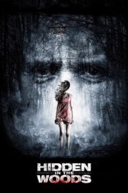 Hidden in the Woods 2014 one on netflix