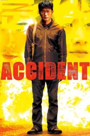 Accident 2009 one on netflix