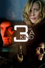 3 of a Kind 2012 one on netflix