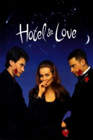 Hotel de Love 1996 one on netflix