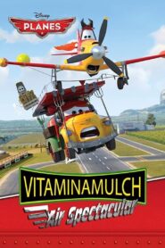 Vitaminamulch: Air Spectacular 2014 one on netflix