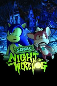 Sonic: Night of the Werehog 2008 one on netflix