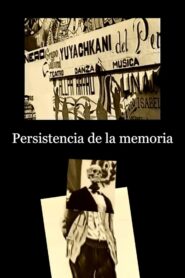 Persistence of the memory 1998 one on netflix